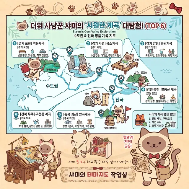더위 사냥꾼 샤미의 시원한 계곡 대탐험 인포그래픽