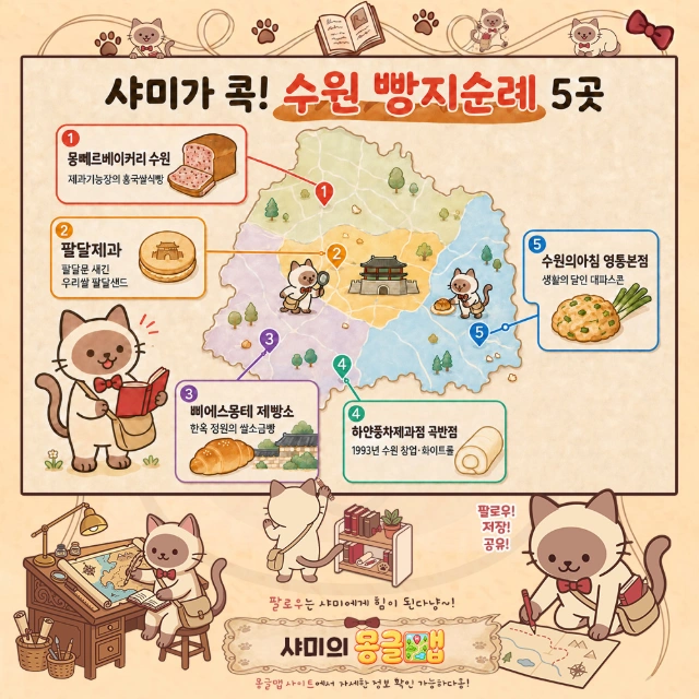 샤미가 콕! 수원 빵지순례 5곳 인포그래픽