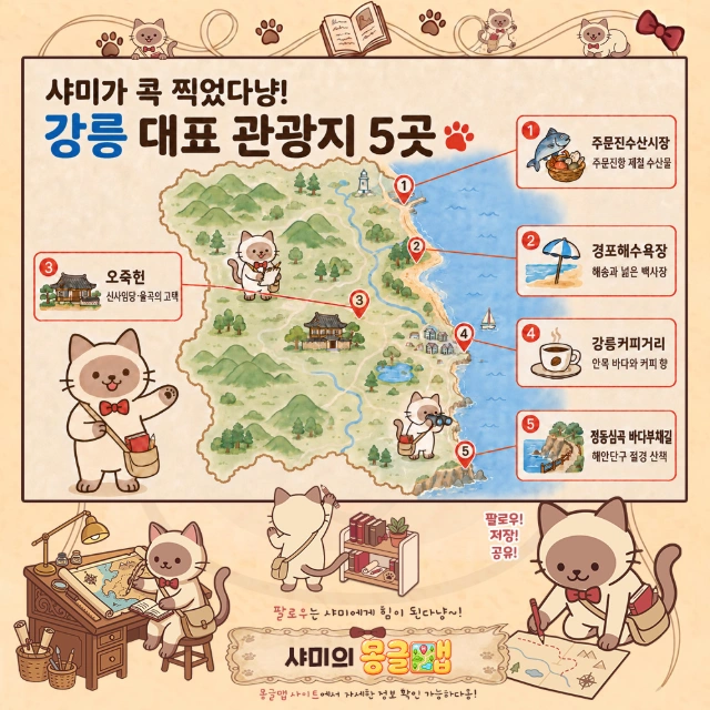샤미가 콕 찍었다냥! 강릉 대표 관광지 5곳 인포그래픽