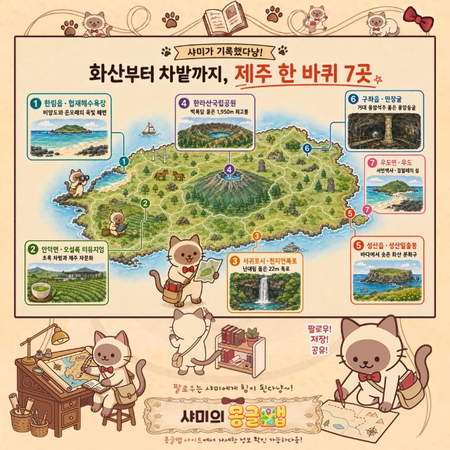 화산부터 차밭까지! 제주 대표 관광지 7픽 인포그래픽