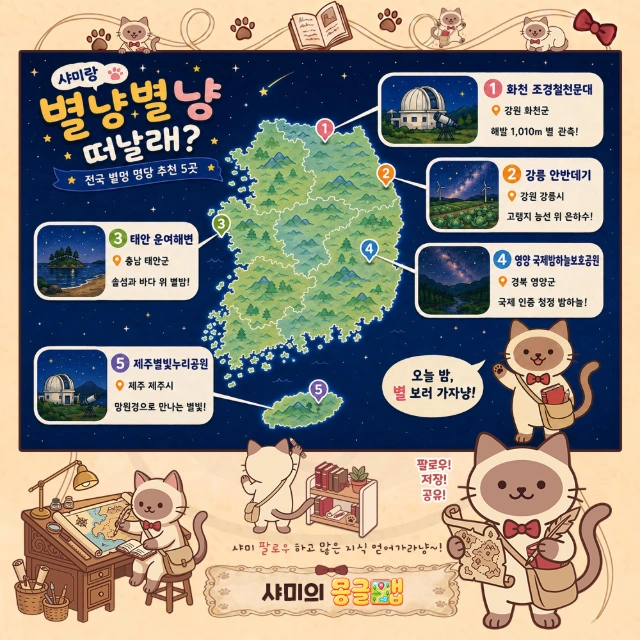 별냥별냥 떠날래? 전국 별멍 명당 5픽 인포그래픽