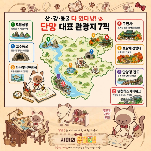 산·강·동굴 다 있다냥! 단양 대표 관광지 7픽 인포그래픽