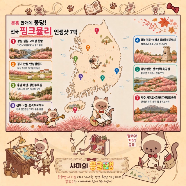분홍 안개에 퐁당! 전국 핑크뮬리 인생샷 7픽 인포그래픽