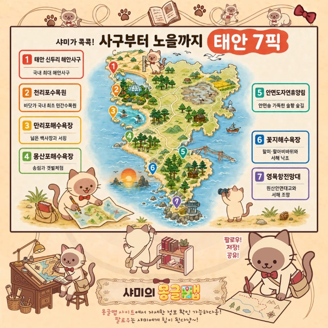 사구부터 노을까지! 태안 대표 관광지 7픽 인포그래픽
