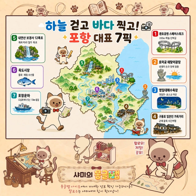 하늘 걷고 바다 찍고! 포항 대표 7픽 인포그래픽