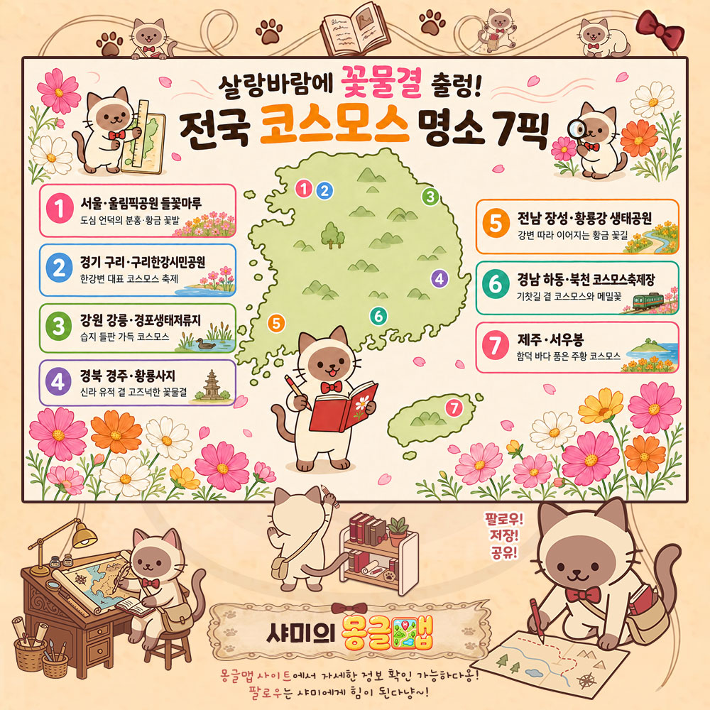 살랑바람에 꽃물결 출렁! 전국 코스모스 명소 7픽 테마지도