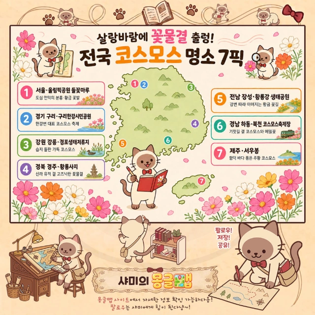 살랑바람에 꽃물결 출렁! 전국 코스모스 명소 7픽 인포그래픽