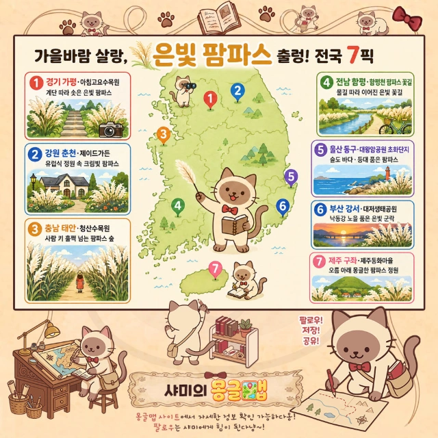 가을바람 살랑, 은빛 팜파스 출렁! 전국 7픽 인포그래픽