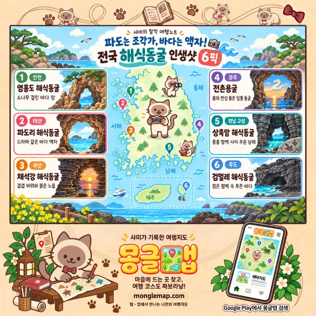 파도는 조각가, 바다는 액자! 전국 해식동굴 인생샷 6픽 인포그래픽