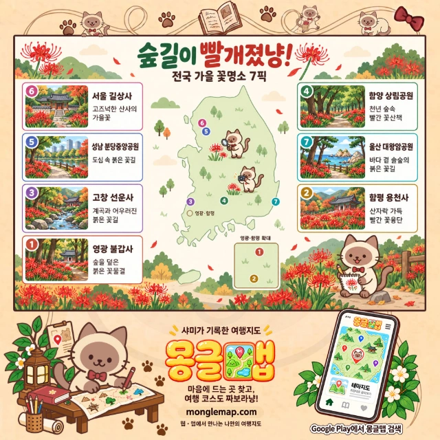 숲길이 빨개졌냥! 전국 가을 꽃명소 7픽 인포그래픽