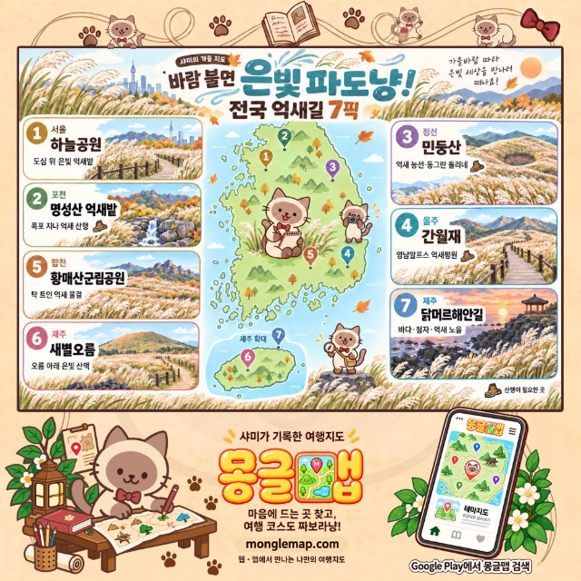 바람 불면 은빛 파도냥! 전국 억새길 7픽 인포그래픽