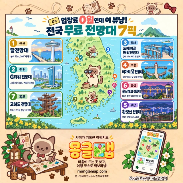 입장료 0원인데 이 뷰냥! 전국 무료 전망대 7픽 인포그래픽