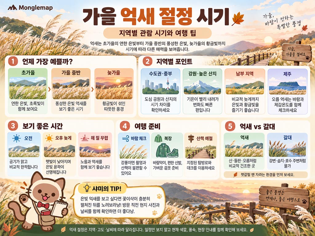 여행가이드 이미지