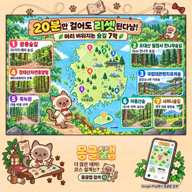 20분만 걸어도 리셋된다냥! 머리 비워지는 숲길 7픽 인포그래픽