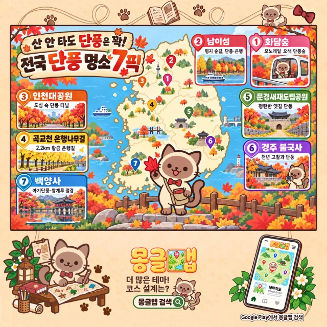 산 안 타도 단풍은 꽉! 전국 단풍 명소 7픽 인포그래픽