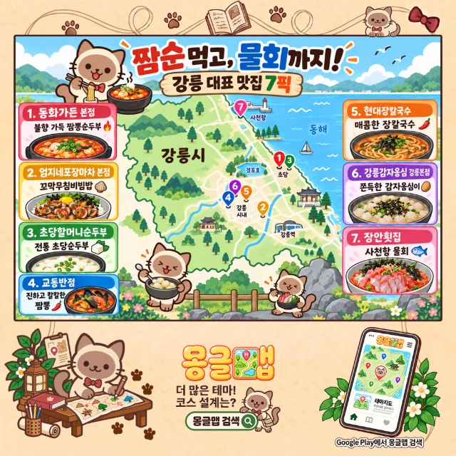 짬순 먹고, 물회까지! 강릉 대표 맛집 7픽 인포그래픽
