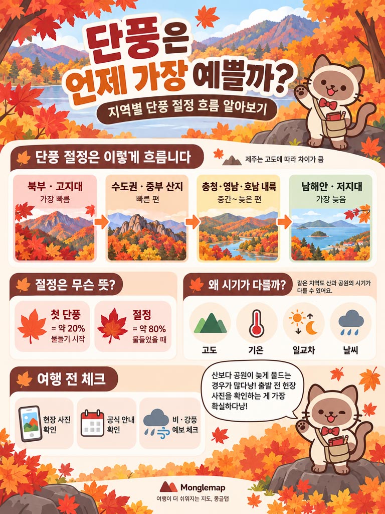 여행가이드 이미지