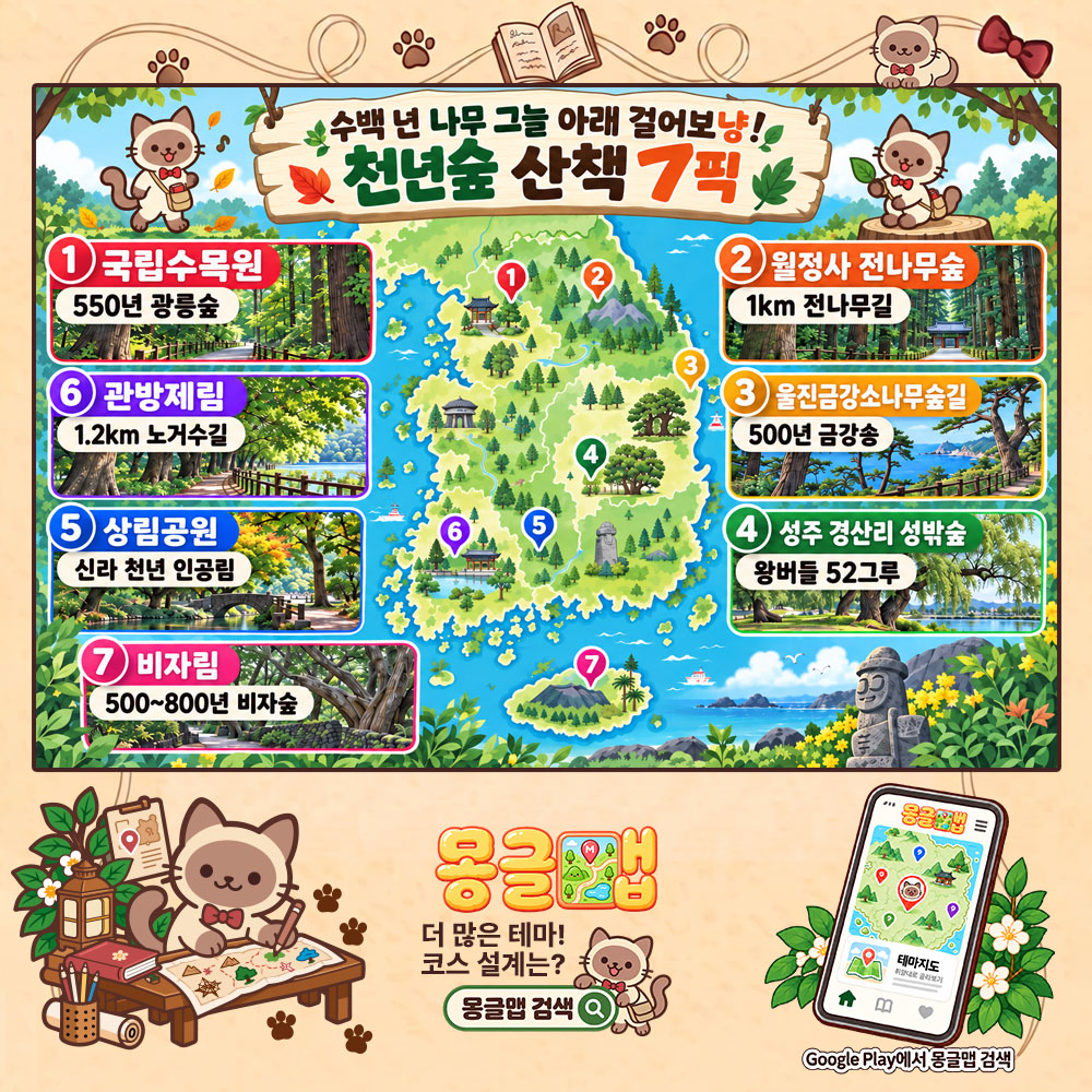 수백 년 나무 그늘 아래 걸어보냥! 천년숲 산책 7픽 테마지도