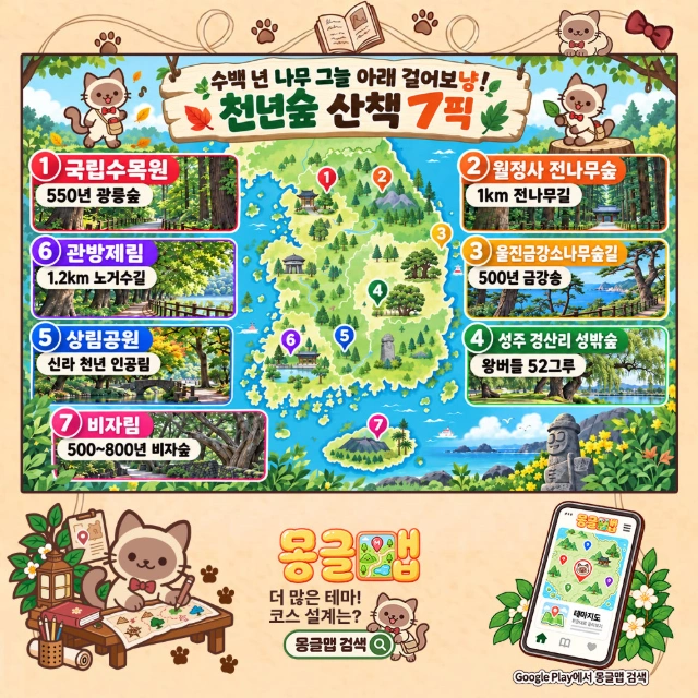 수백 년 나무 그늘 아래 걸어보냥! 천년숲 산책 7픽 인포그래픽