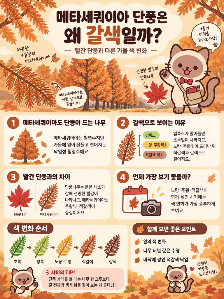 여행가이드 이미지