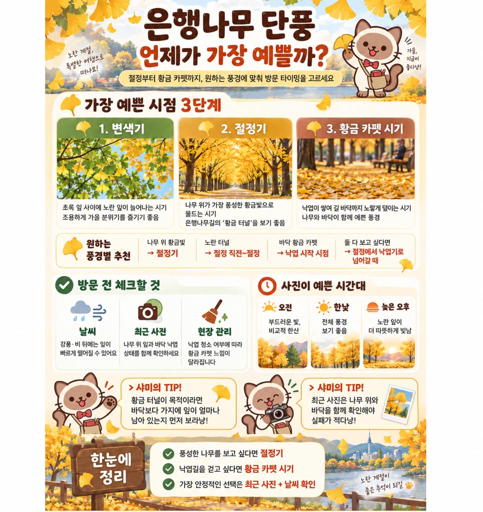 여행가이드 이미지