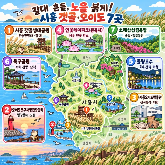 갈대 흔들, 노을 붉게! 시흥 갯골·오이도 7곳 인포그래픽