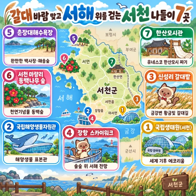 갈대 바람 맞고 서해 위를 걷는 서천 나들이 7곳 인포그래픽