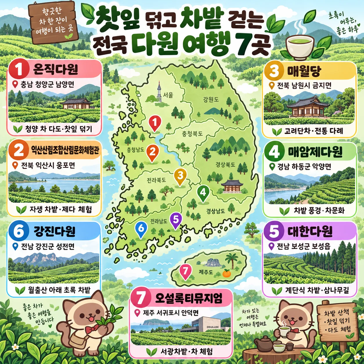 찻잎 덖고 차밭 걷는 전국 다원 여행 7곳 테마지도