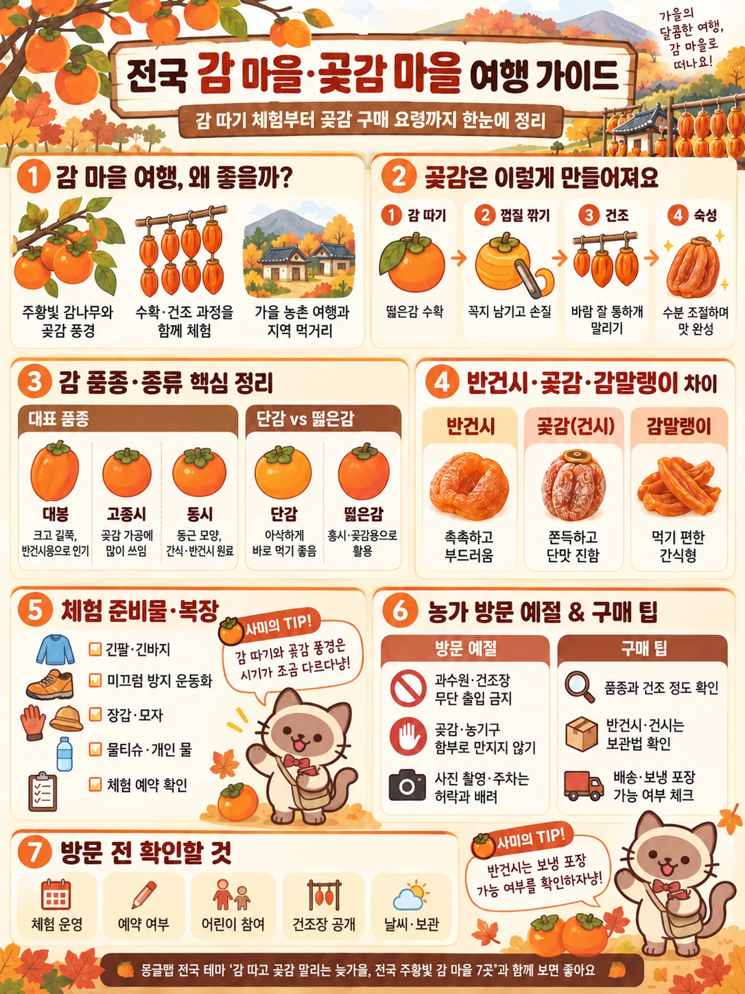 여행가이드 이미지