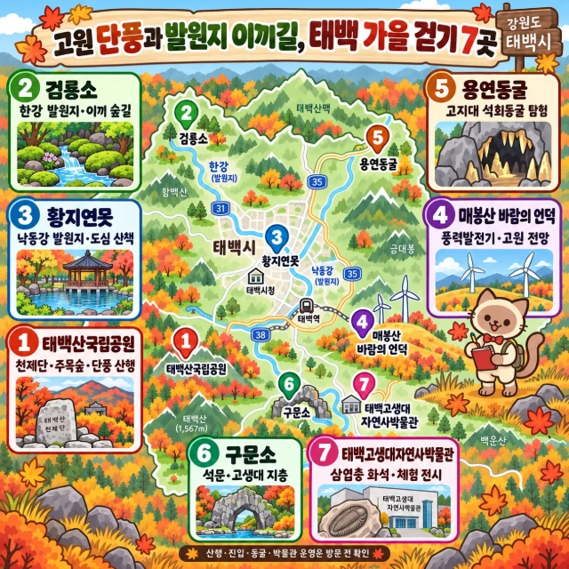 고원 단풍과 발원지 이끼길, 태백 가을 걷기 7곳 인포그래픽