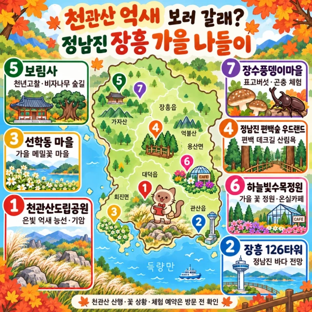 천관산 억새 보러 갈래? 정남진 장흥 가을 나들이 인포그래픽