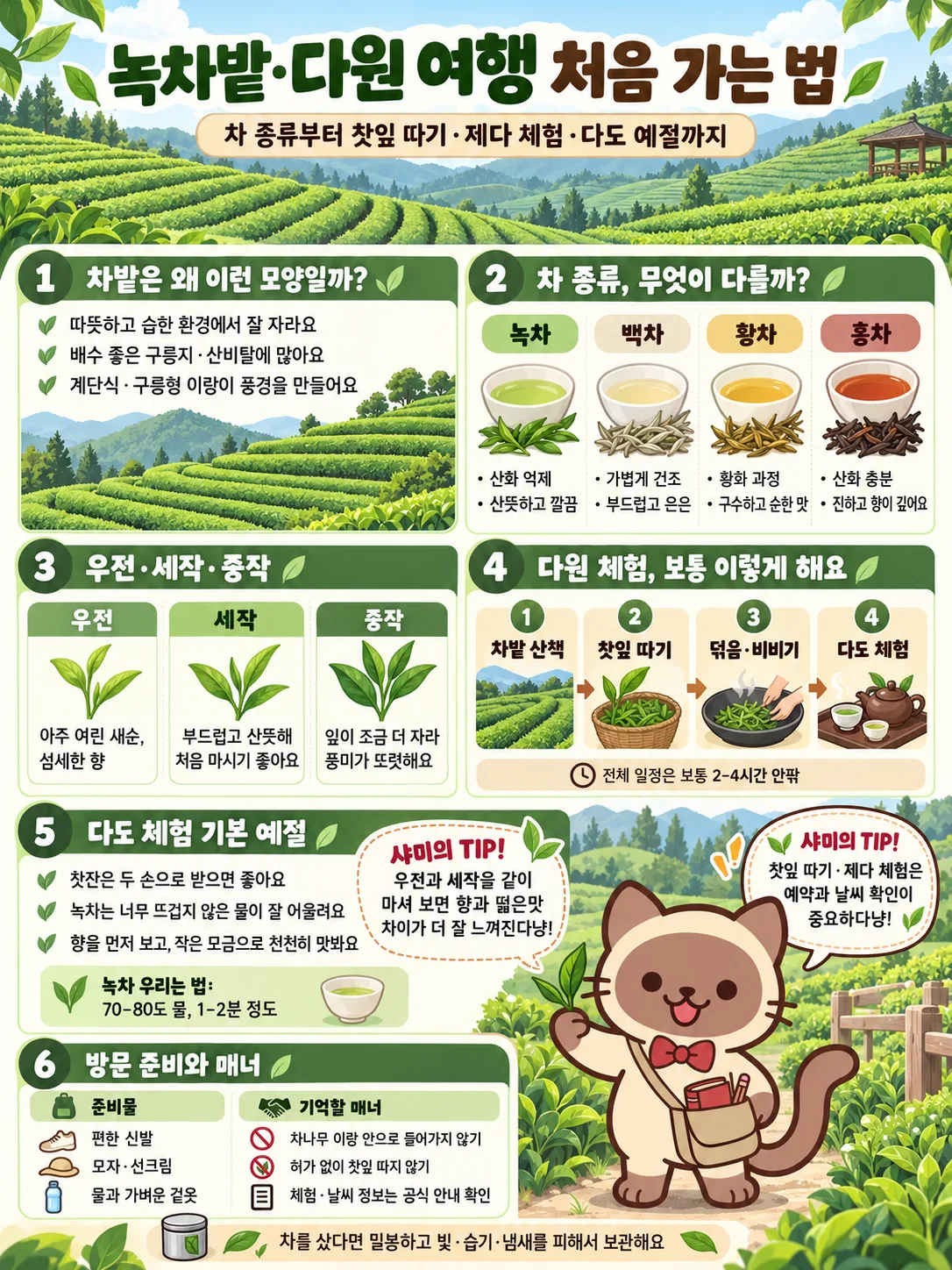 여행가이드 이미지