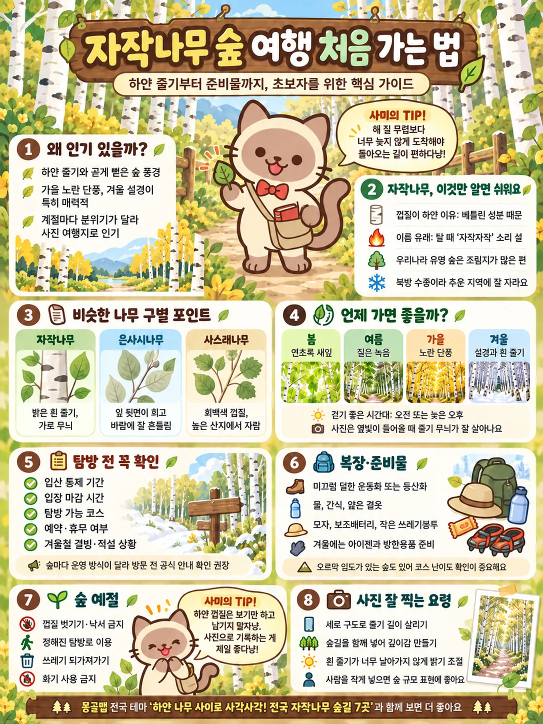여행가이드 이미지