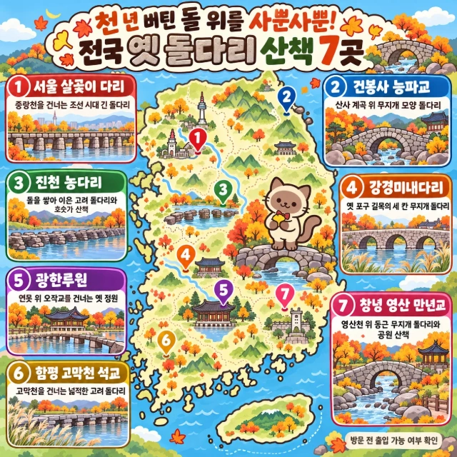 천 년 버틴 돌 위를 사뿐사뿐! 전국 옛 돌다리 산책 7곳 인포그래픽
