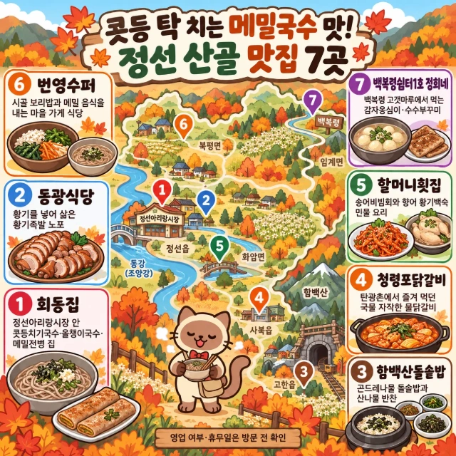 콧등 탁 치는 메밀국수 맛! 정선 산골 맛집 7곳 인포그래픽