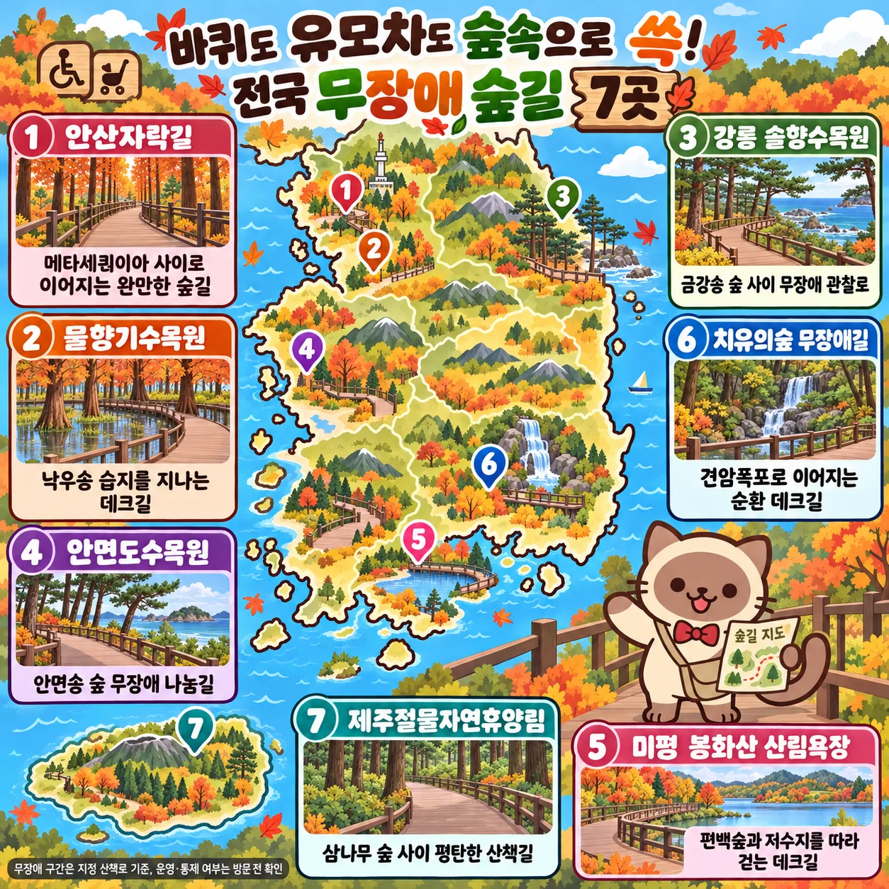 바퀴도 유모차도 숲속으로 쓱! 전국 무장애 숲길 7곳 테마지도