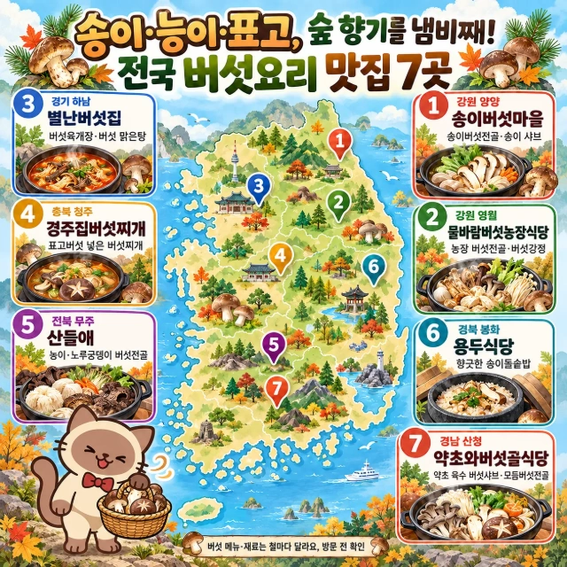 송이·능이·표고, 숲 향기를 냄비째! 전국 버섯요리 맛집 7곳 인포그래픽