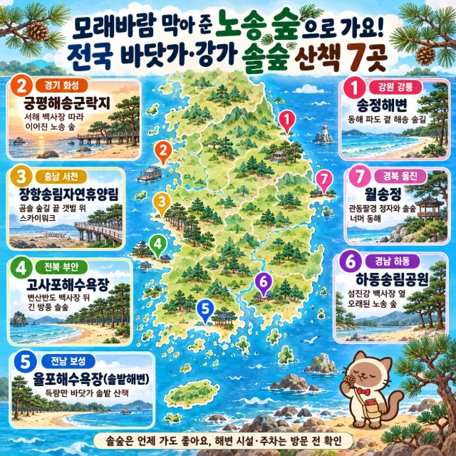 모래바람 막아 준 노송 숲으로 가요! 전국 바닷가·강가 솔숲 산책 7곳 인포그래픽
