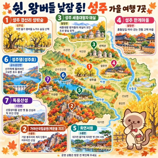 쉿, 왕버들 낮잠 중! 성주 가을 여행 7곳 인포그래픽