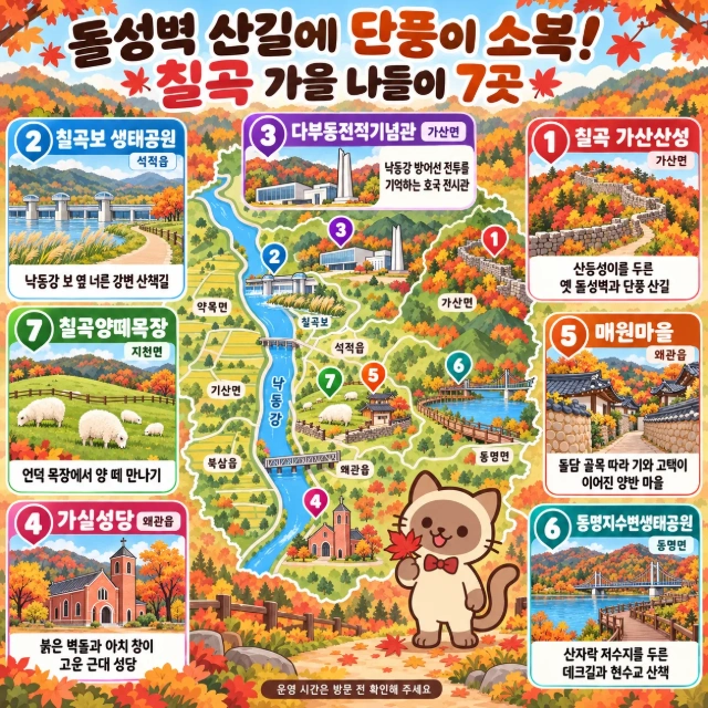 돌성벽 산길에 단풍이 소복! 칠곡 가을 나들이 7곳 인포그래픽